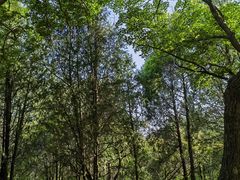 -北京西山国家森林公园