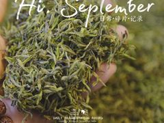 -正源安吉白茶特产享购商场(安吉店)