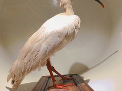 -陕西自然博物馆