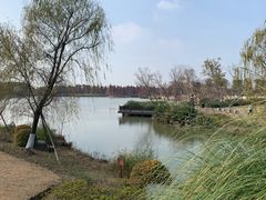 -九科绿洲