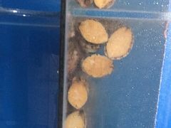 -宾朋海鲜特色美食餐厅·纯手工鲅鱼水饺(兴海路店)