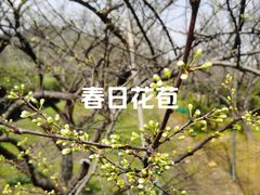 -南北湖风景区
