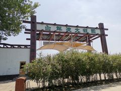-白洋淀景区