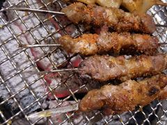 -瓦房店活羊大串(锦绣店)