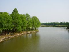 -上海海湾国家森林公园