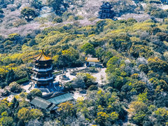 -渤公岛生态公园