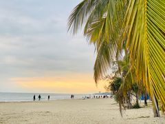 -三亚湾海居铂尔曼度假酒店