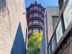 -绳金塔