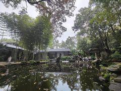 -南山植物园