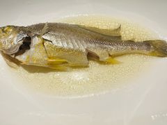 油盐水蒸中黄鱼-广舟(千禧店)