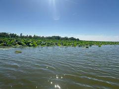 -杜氏旅游度假区