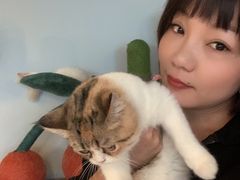 -Cappucimeow猫咪咖啡馆(韦伯时代店)
