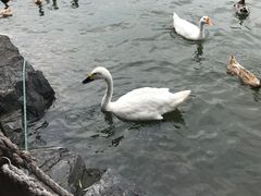 -上海怡沁园度假酒店