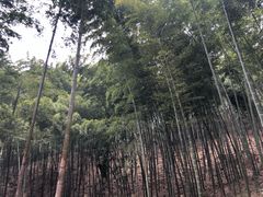 -天目湖山水园