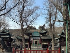 -晋祠公园