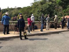 -云溪植物园