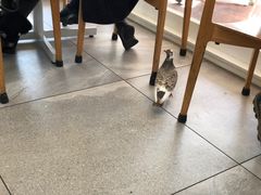 -Takapuna Beach Cafe