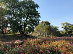 -钟山体育运动公园