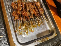 -福苗小骆驼烧烤(曲江店)