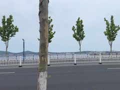 -养马岛旅游度假区