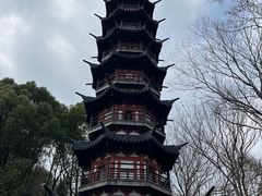 -上海佘山国家森林公园西佘山园