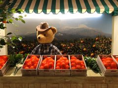 -济州岛泰迪熊博物馆