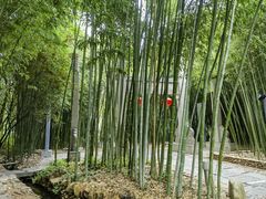 -竹泉村旅游度假区