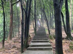 -火炉山森林公园