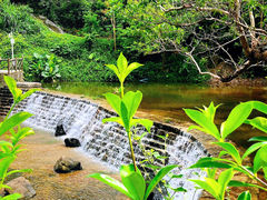 -马峦山郊野公园