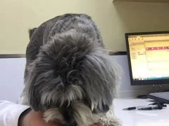 -惠康宠物医院(华能路店)