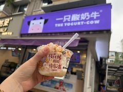 -一只酸奶牛(奎星楼店)