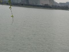 -高子水居