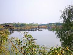 -溱湖国家湿地公园