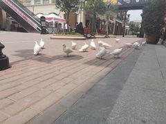 -王府井奥莱临潼小镇(临潼店)