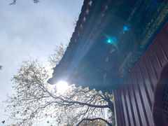 -香山公园