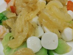 双鲜烧鱼肚（份）-龙泉海鲜酒楼(龙昆南路店)