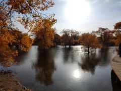 -金塔沙漠胡杨林景区