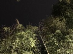 -江南天池高山汤泉城