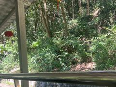 -富春桃源风景区