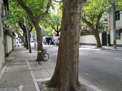 -徐家汇源景区-衡山公园