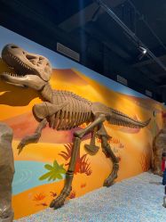 -北京科学中心儿童乐园