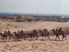 -黄沙古渡原生态旅游区