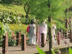 -重庆彩云湖湿地公园