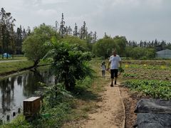 -前小桔亲子创意农场·草莓采摘·露营烧烤