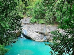 -广州白江湖森林公园