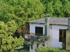 -白鹭湾湿地公园