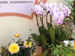 -重庆园博园