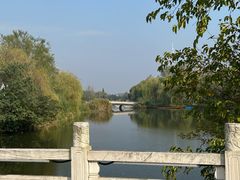 -溱湖国家湿地公园