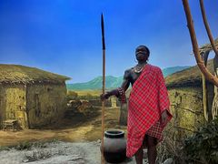 -国家自然博物馆