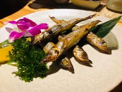 -酒井酱子·深夜食堂(东城汇店)